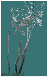 Sustainability 16 10636 i037