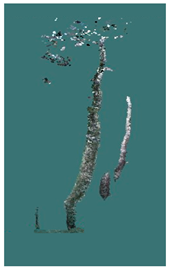 Sustainability 16 10636 i038