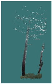 Sustainability 16 10636 i039