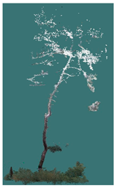 Sustainability 16 10636 i040