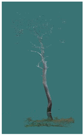 Sustainability 16 10636 i041