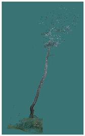 Sustainability 16 10636 i042