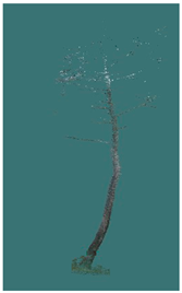 Sustainability 16 10636 i043