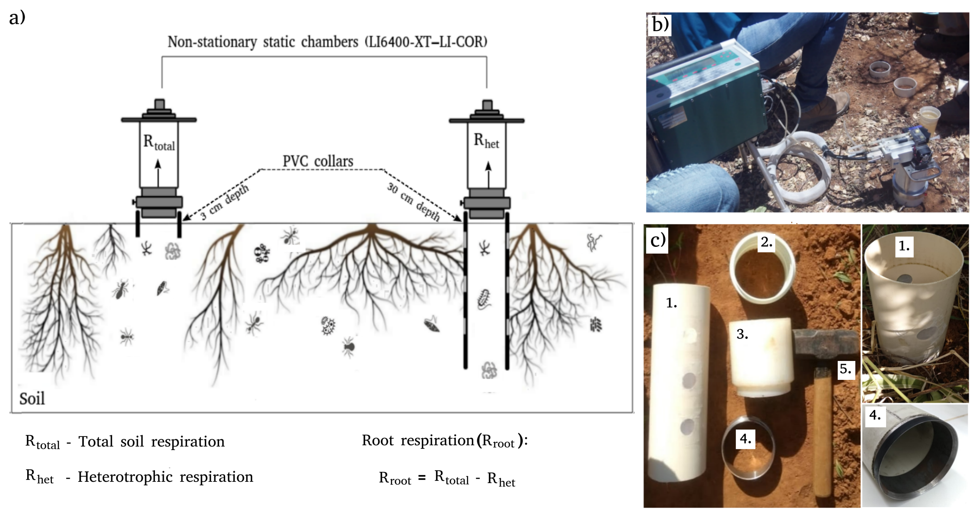 Sustainability 16 10652 g002