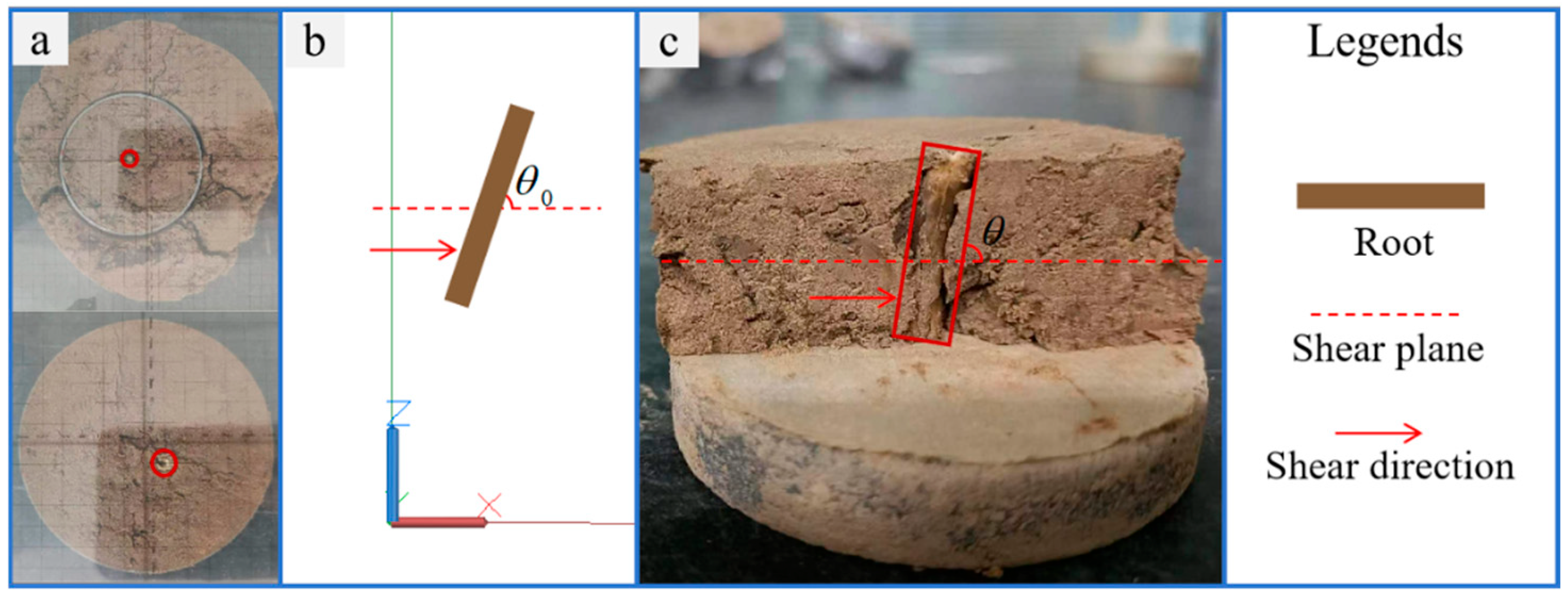 Sustainability 16 10657 g003 Sustainability 16 10657 g003