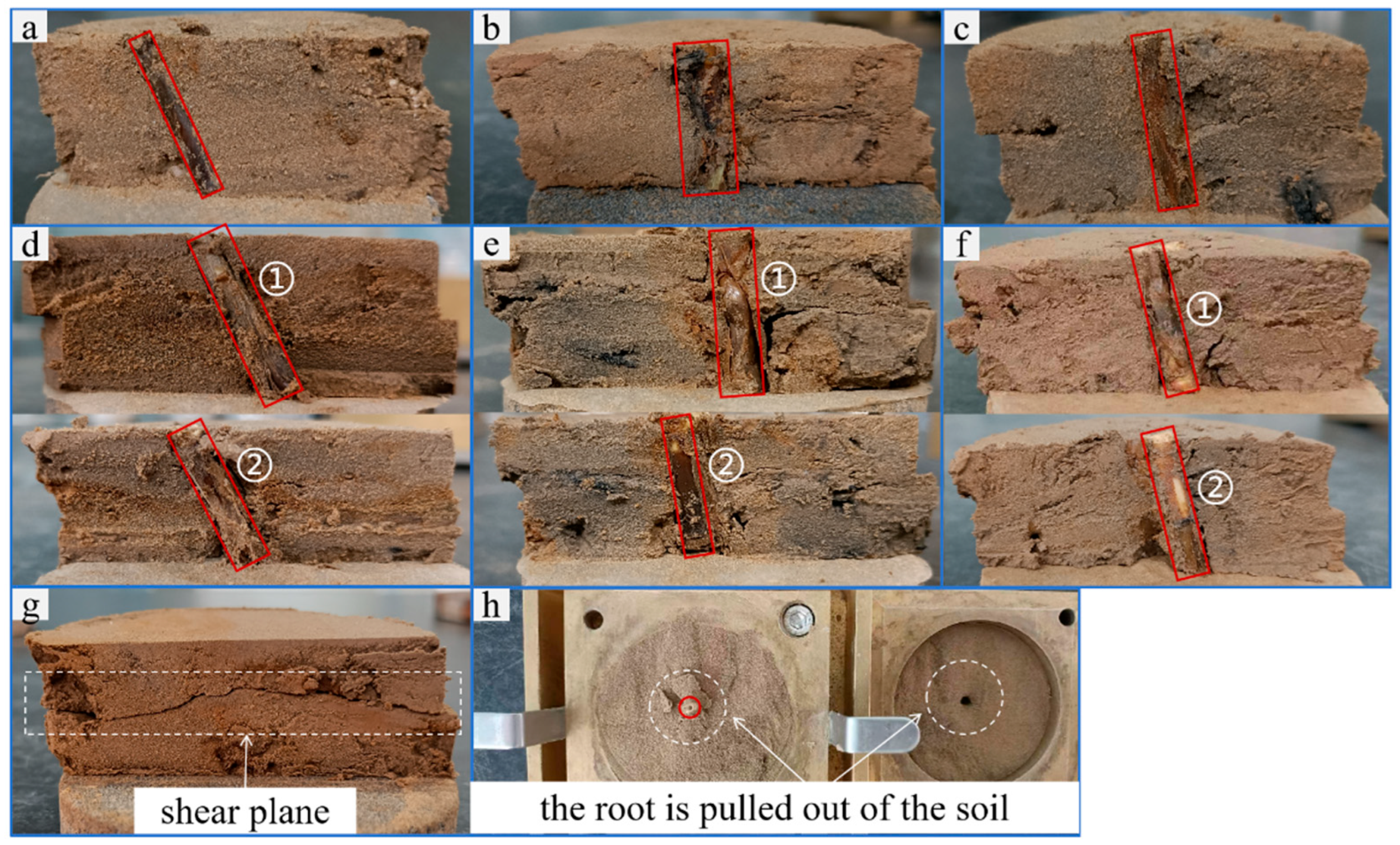 Sustainability 16 10657 g008 Sustainability 16 10657 g008