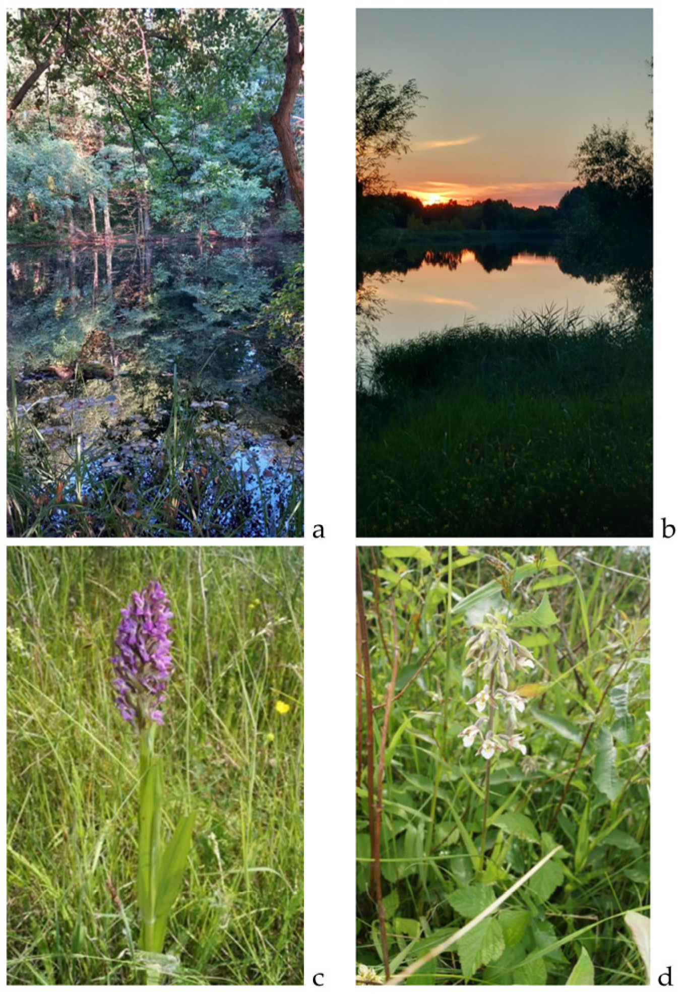 Sustainability 16 10669 g001