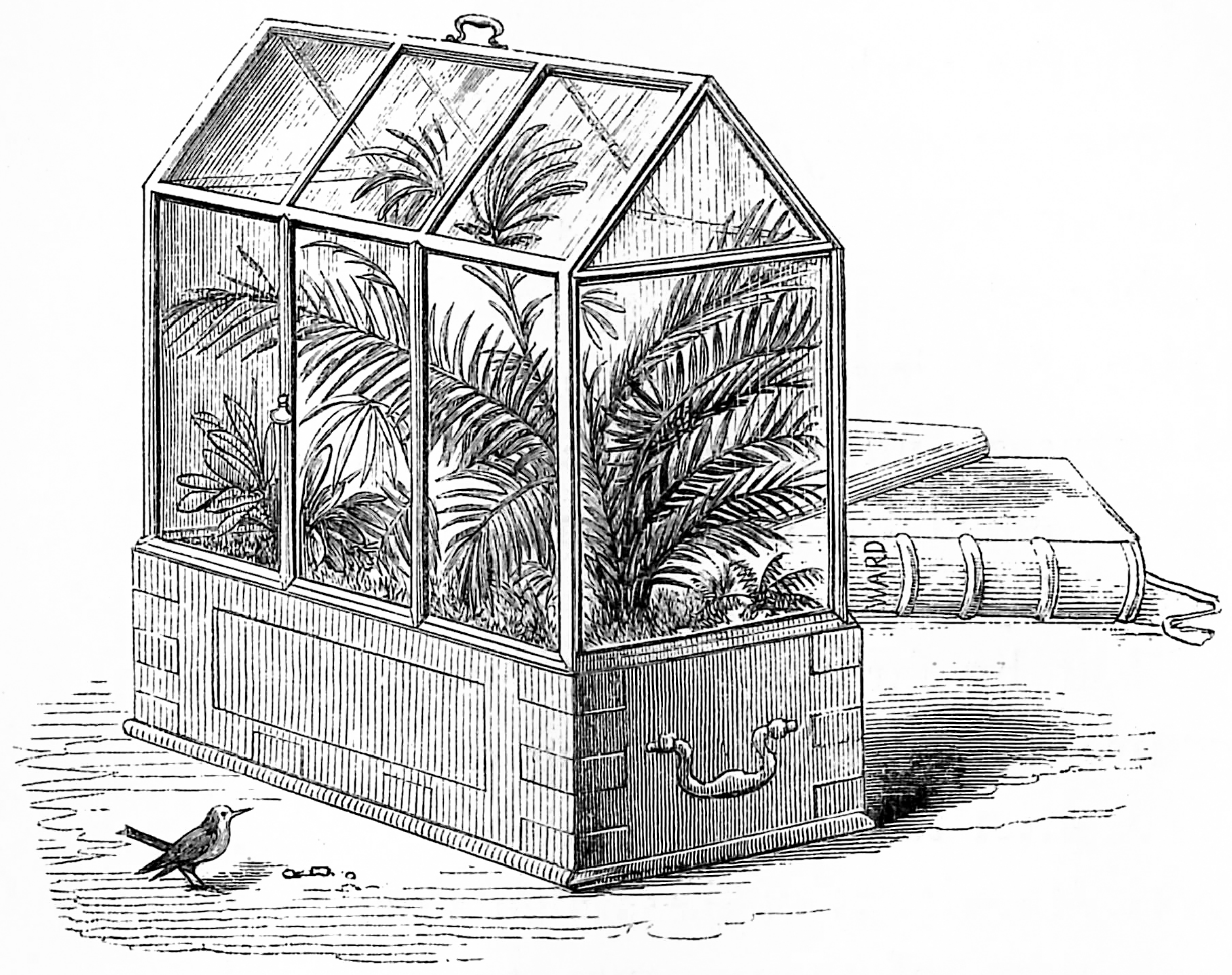 Sustainability 16 10685 g002