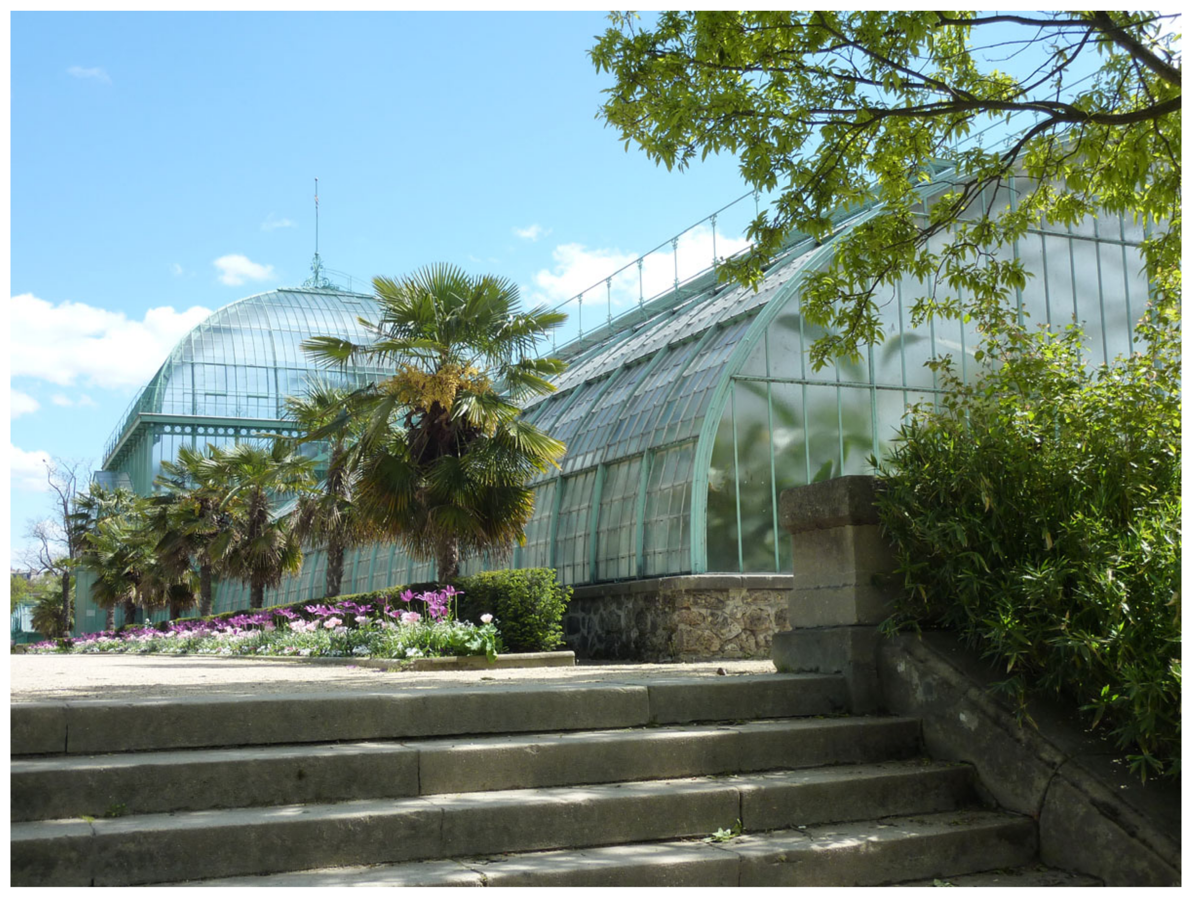 Sustainability 16 10685 g003