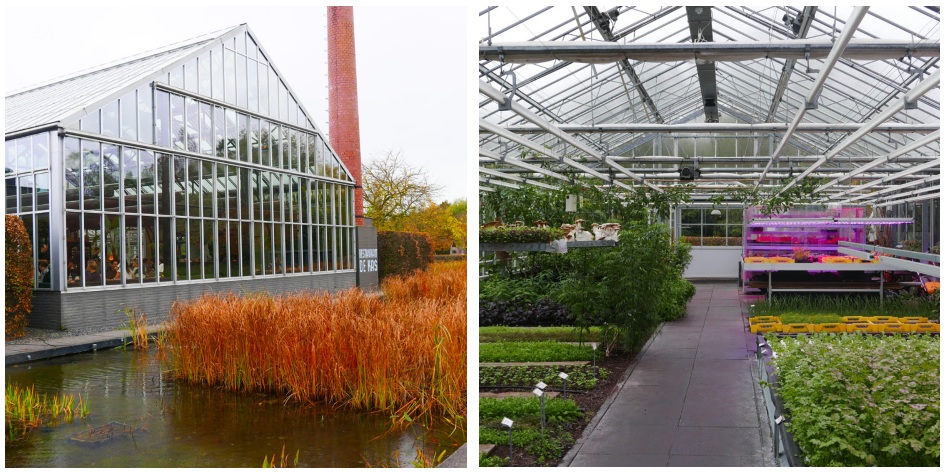 Sustainability 16 10685 g008