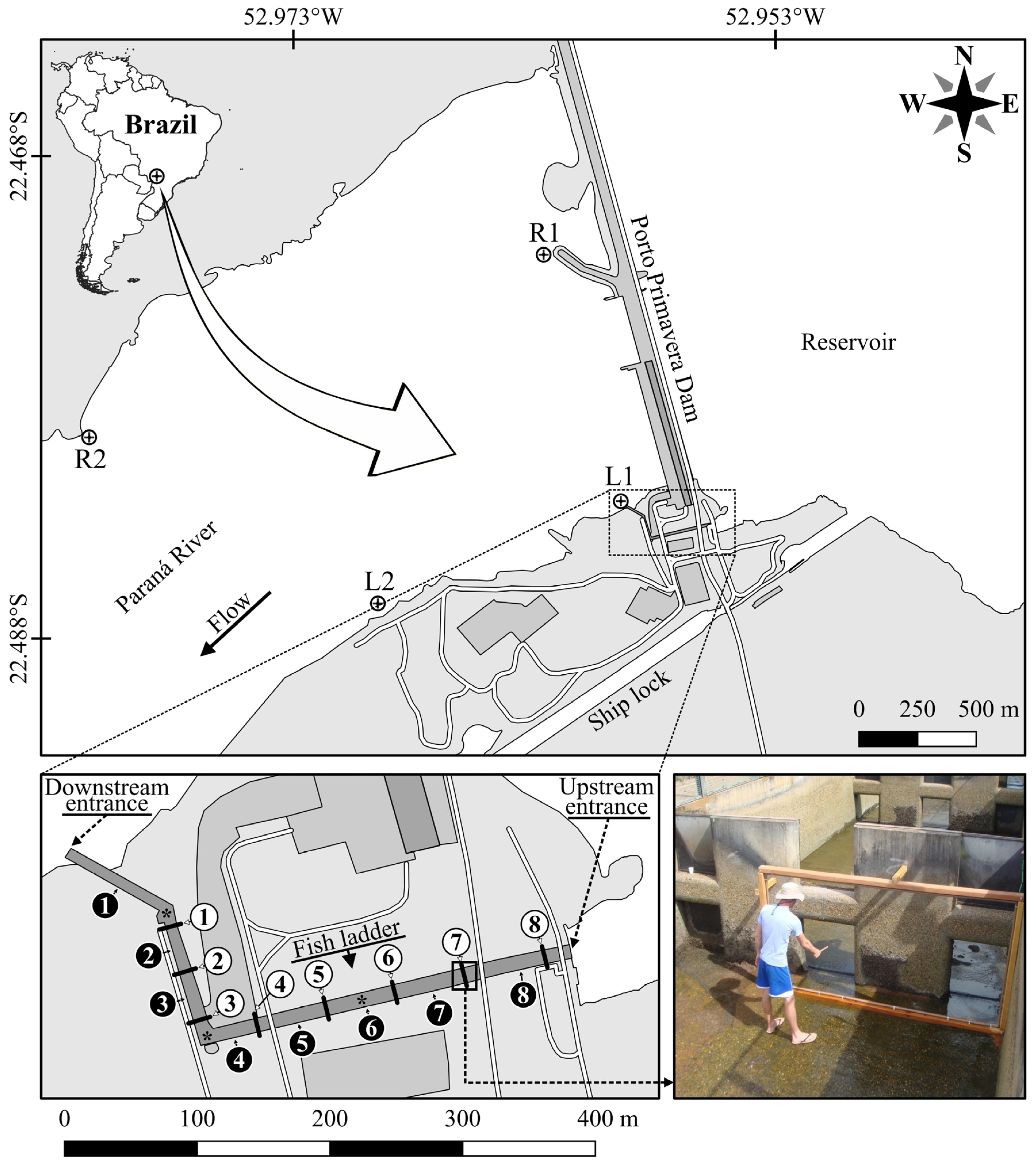Sustainability 16 10704 g001