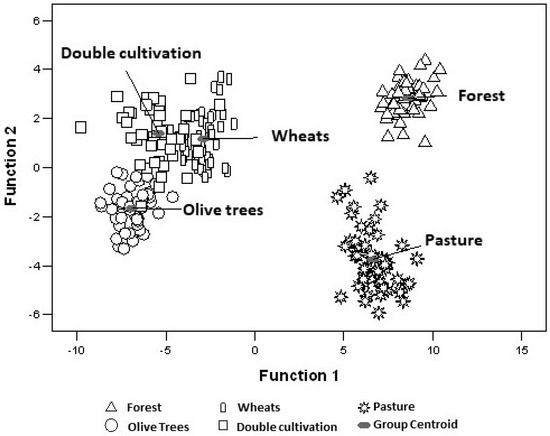 Beneficial Effect of Olive Oil and Its Derivates: Focus on