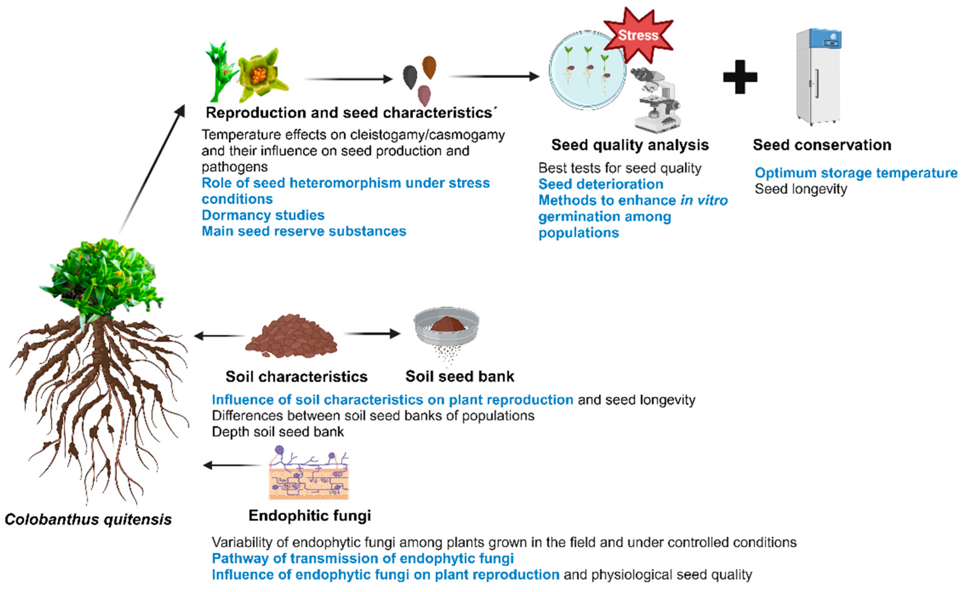 Sustainability 16 10726 g004