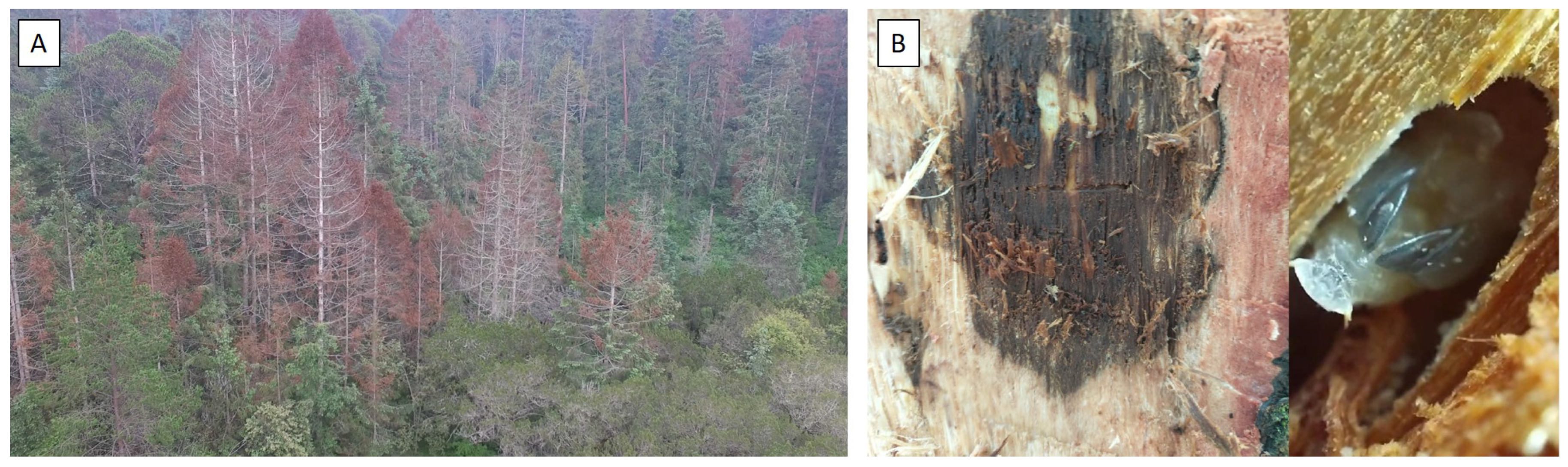 Sustainability 16 10731 g002