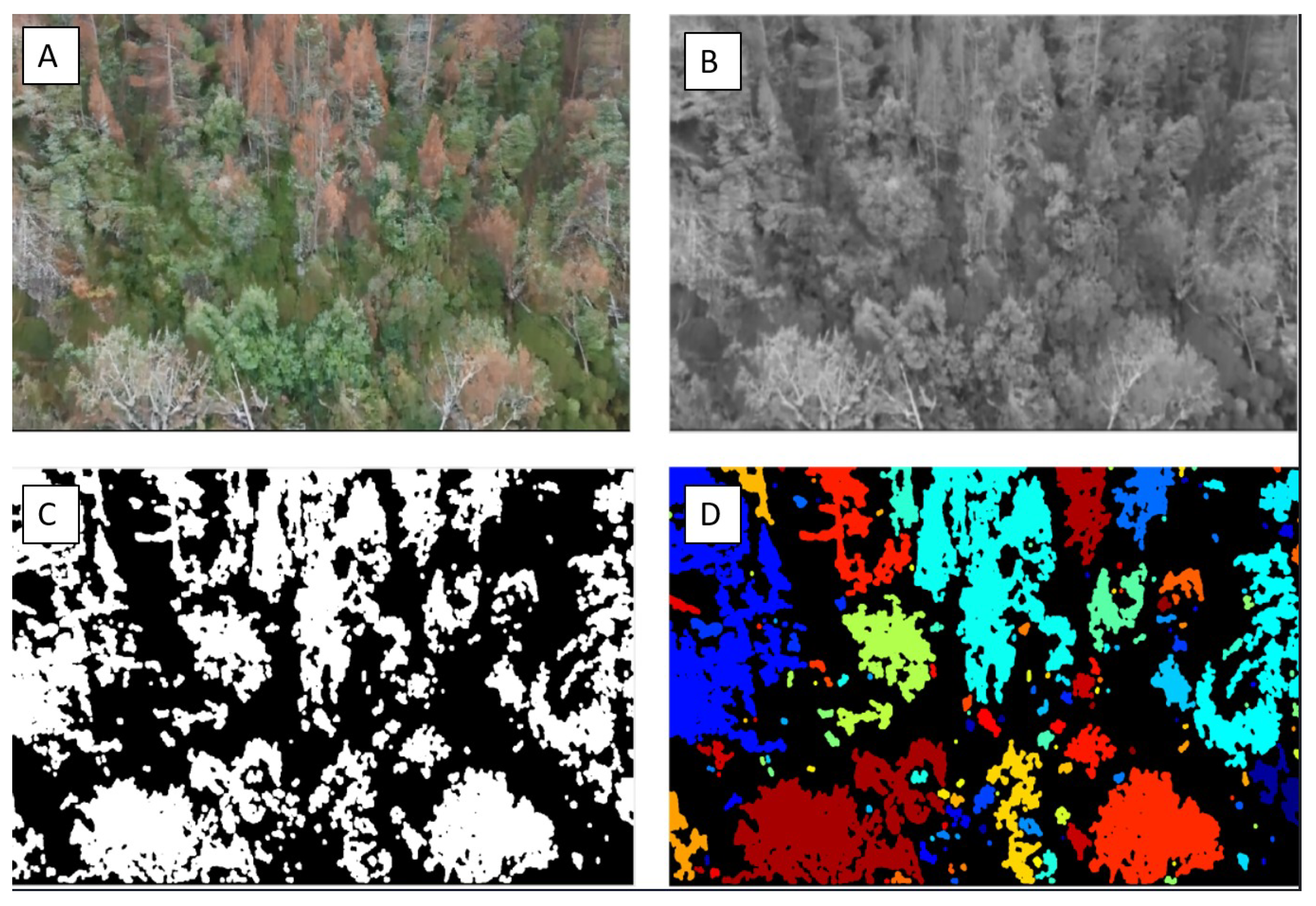 Sustainability 16 10731 g012