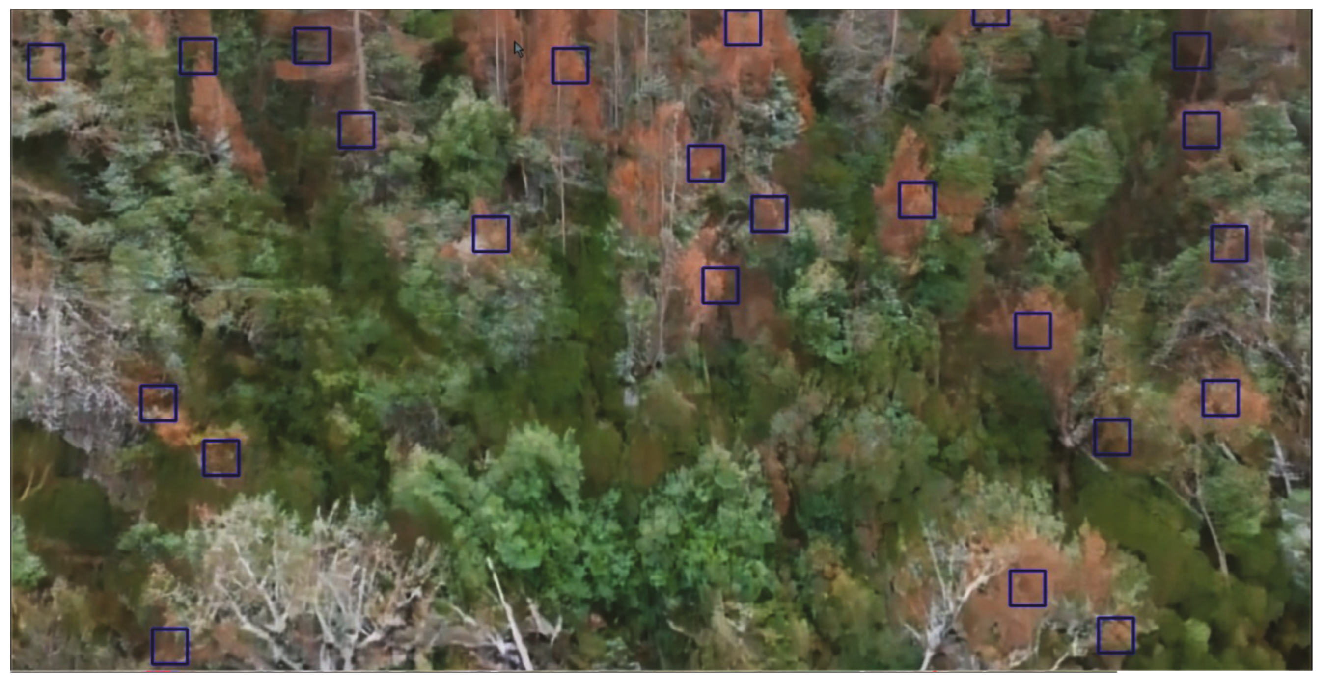 Sustainability 16 10731 g016