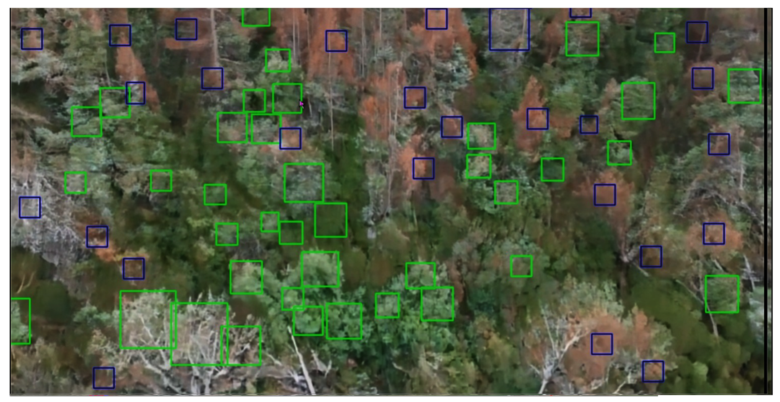 Sustainability 16 10731 g017