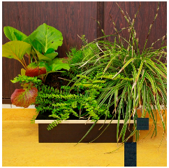 Sustainability 16 10733 i001