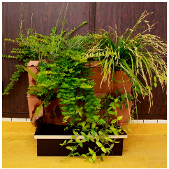 Sustainability 16 10733 i002