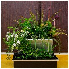 Sustainability 16 10733 i003