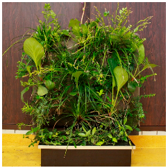 Sustainability 16 10733 i005