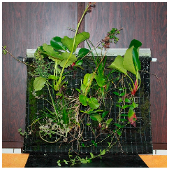 Sustainability 16 10733 i006