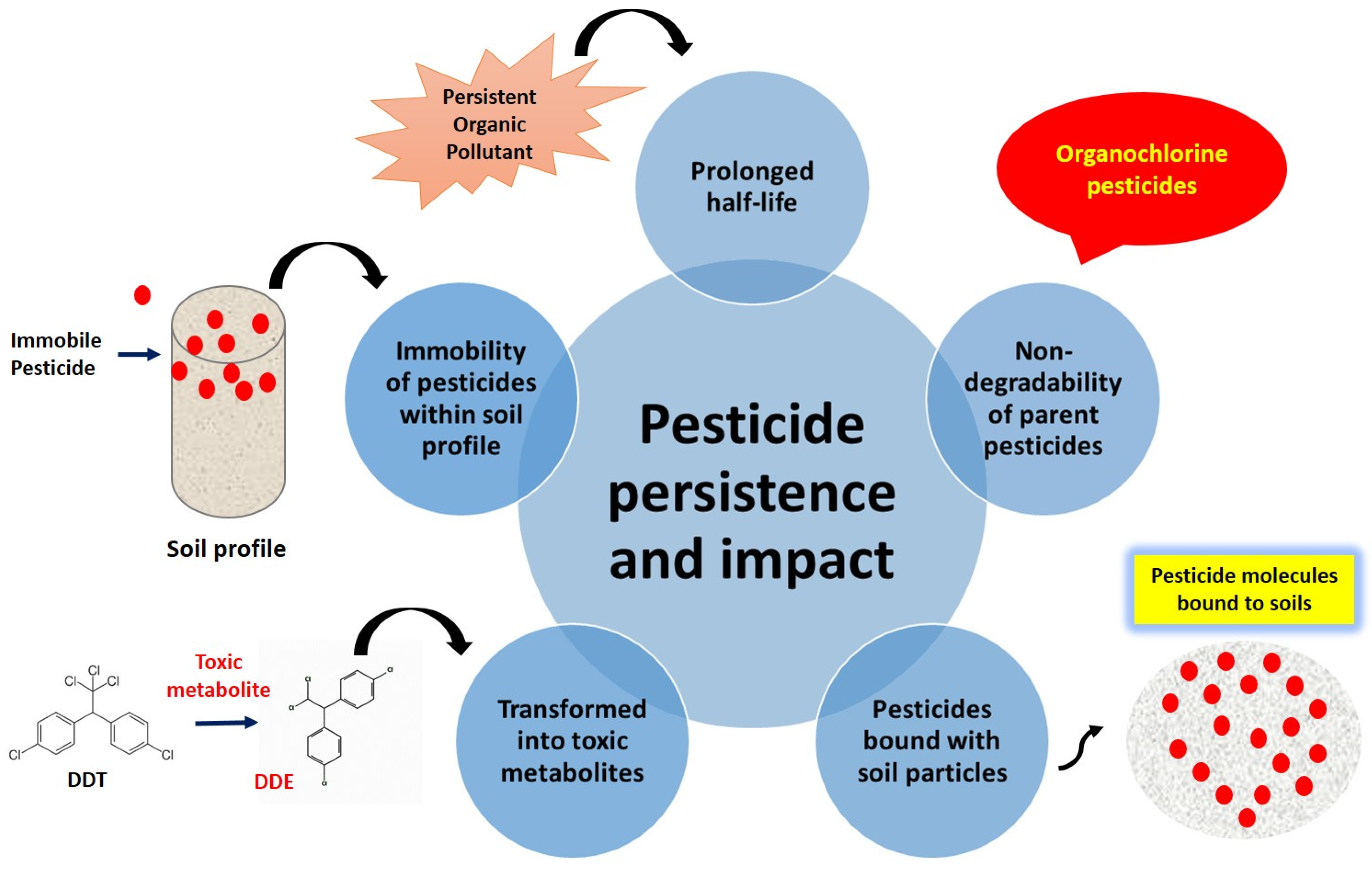 Sustainability 16 10741 g002
