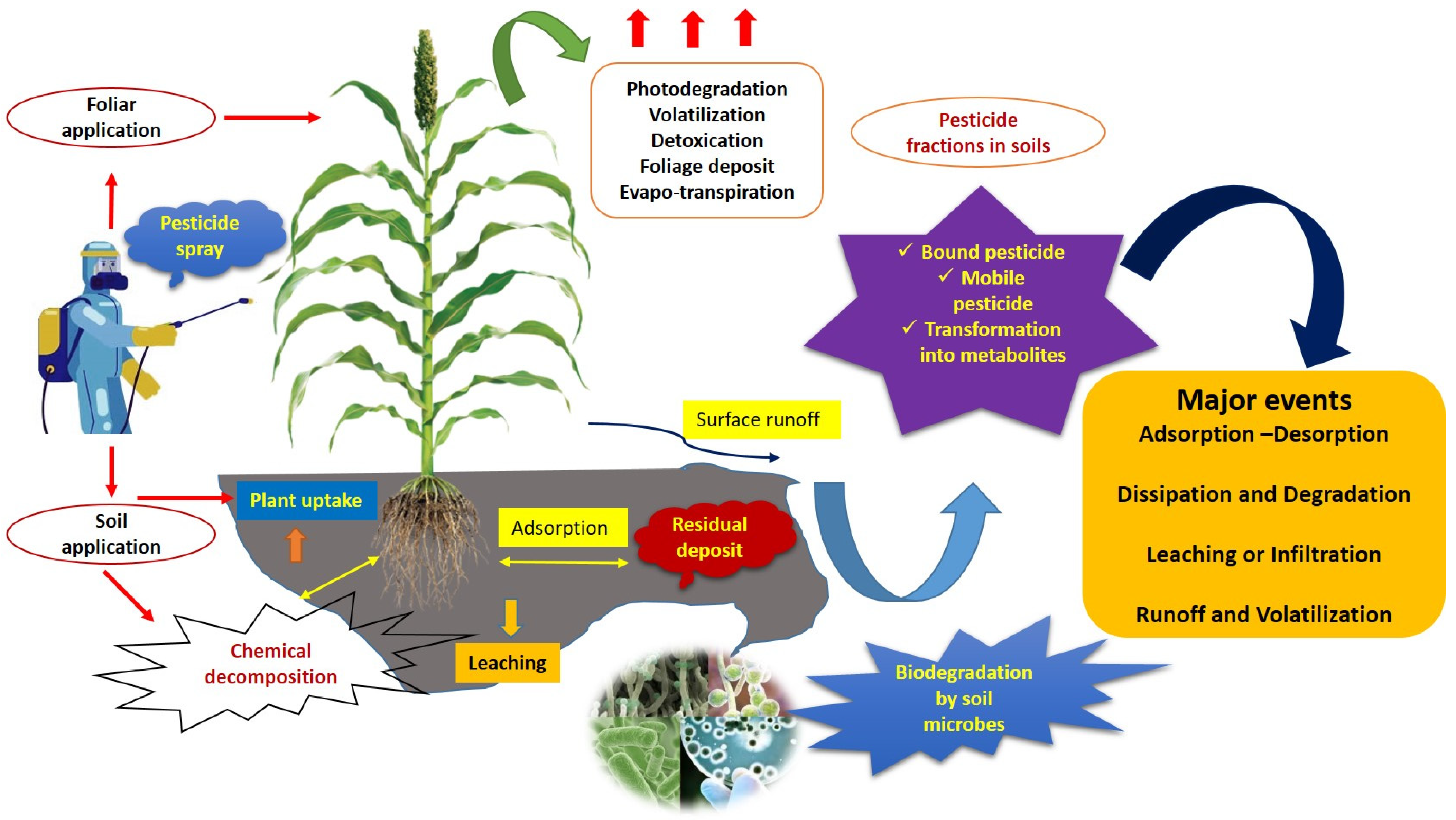 Sustainability 16 10741 g004