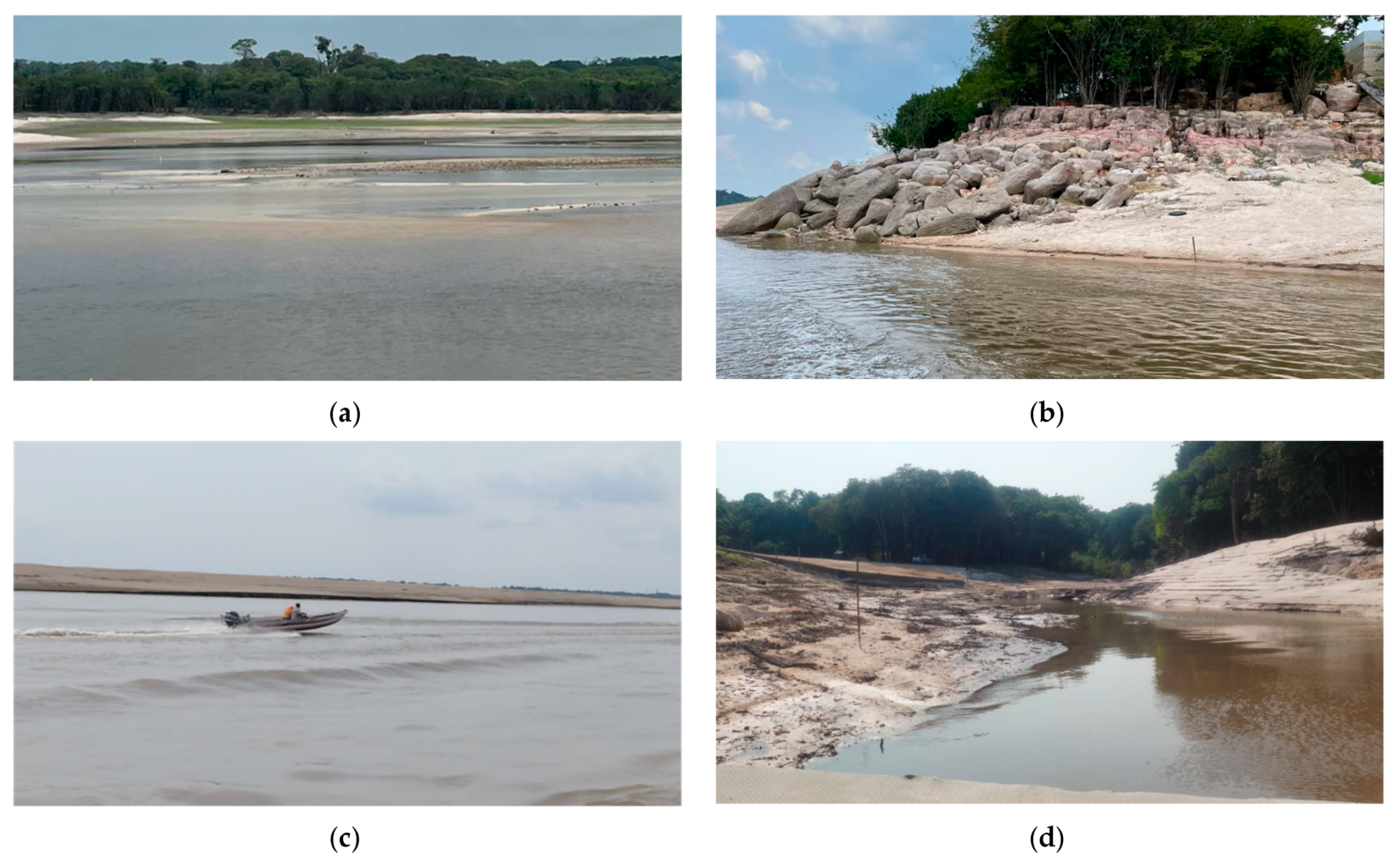 Sustainability 16 10743 g006a