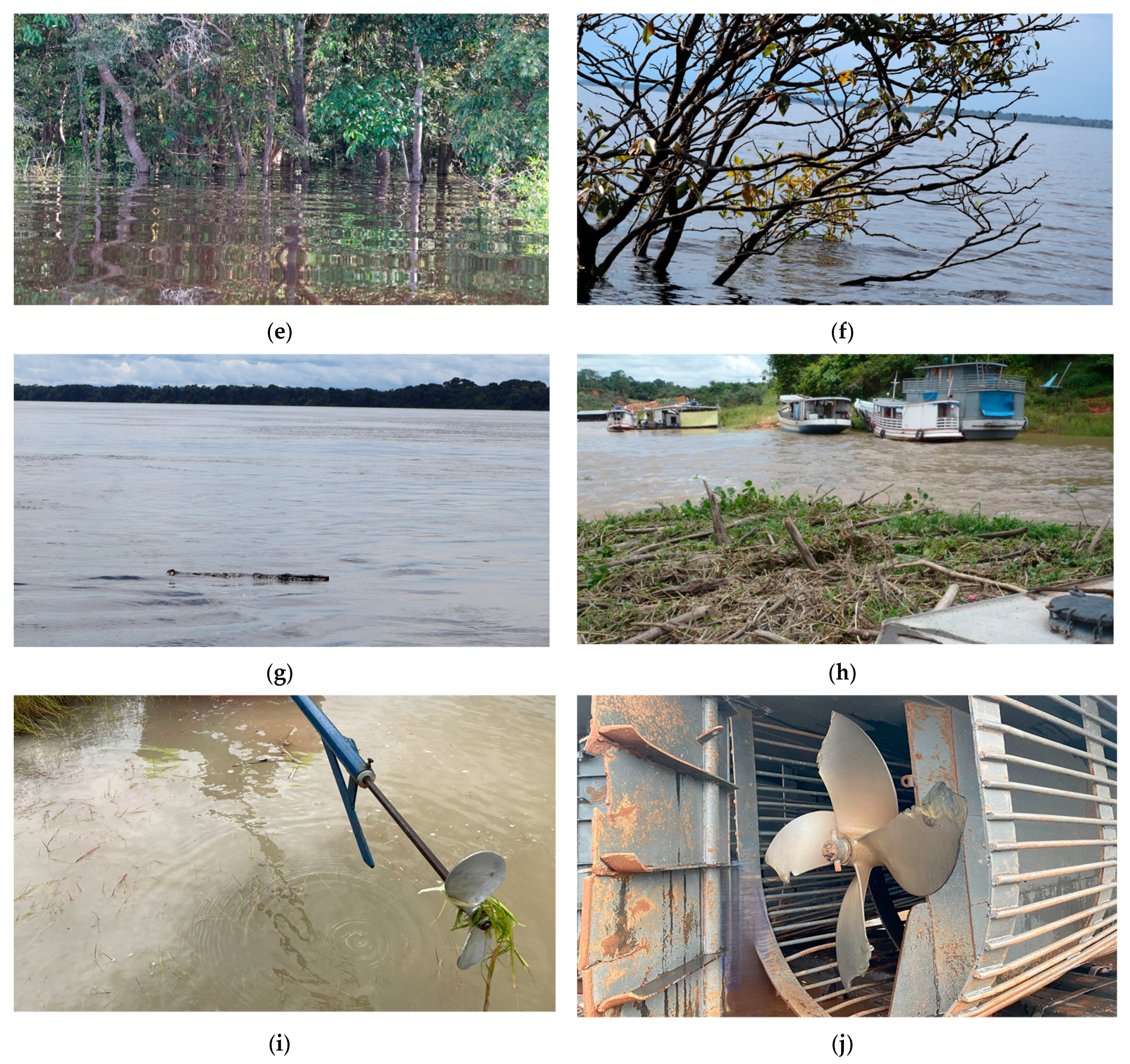 Sustainability 16 10743 g006b