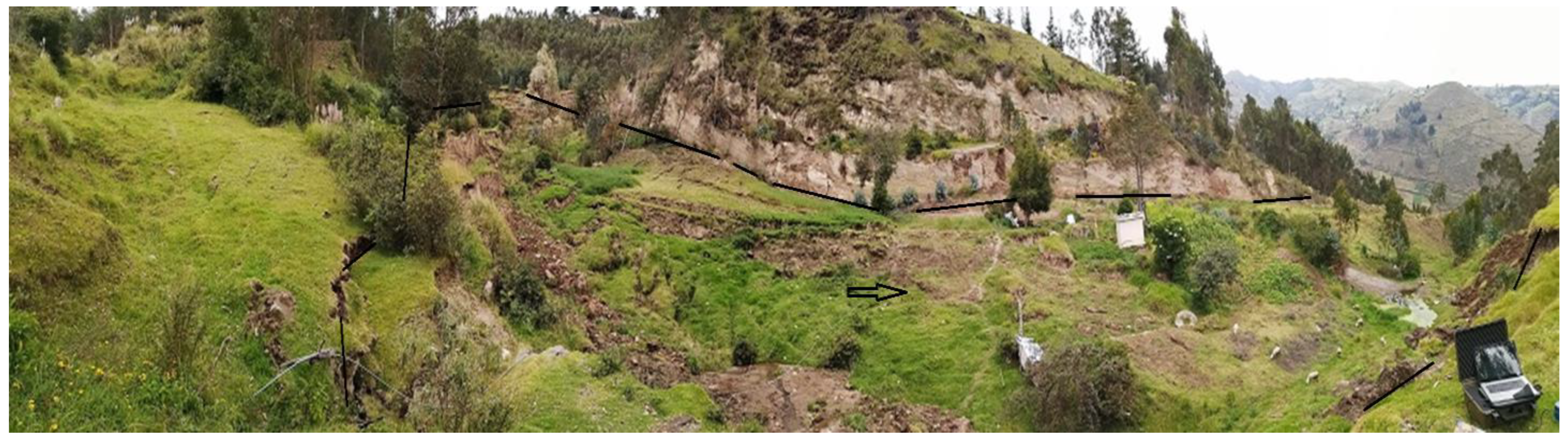 Sustainability 16 10797 g012