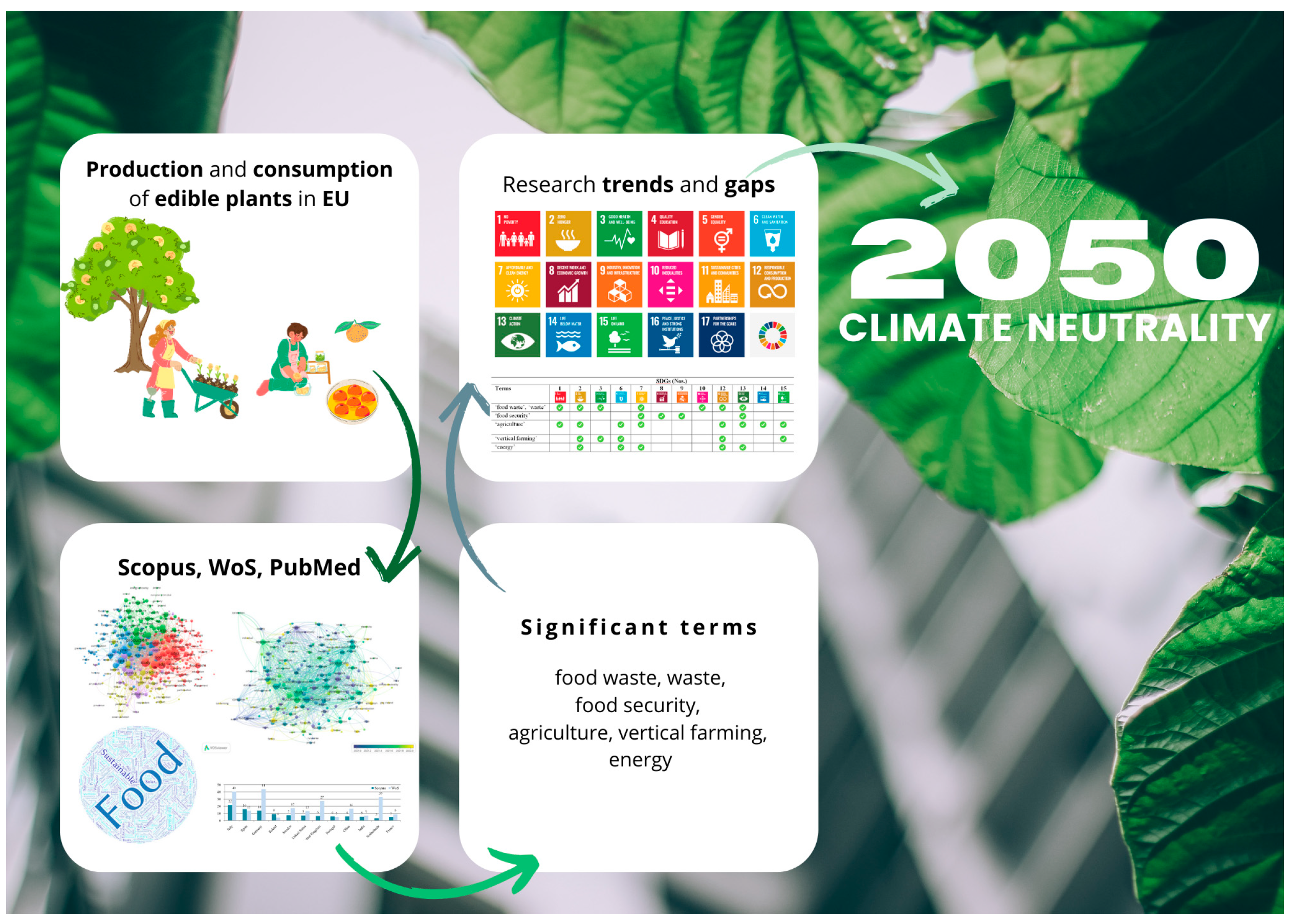 Sustainability 16 10822 g002