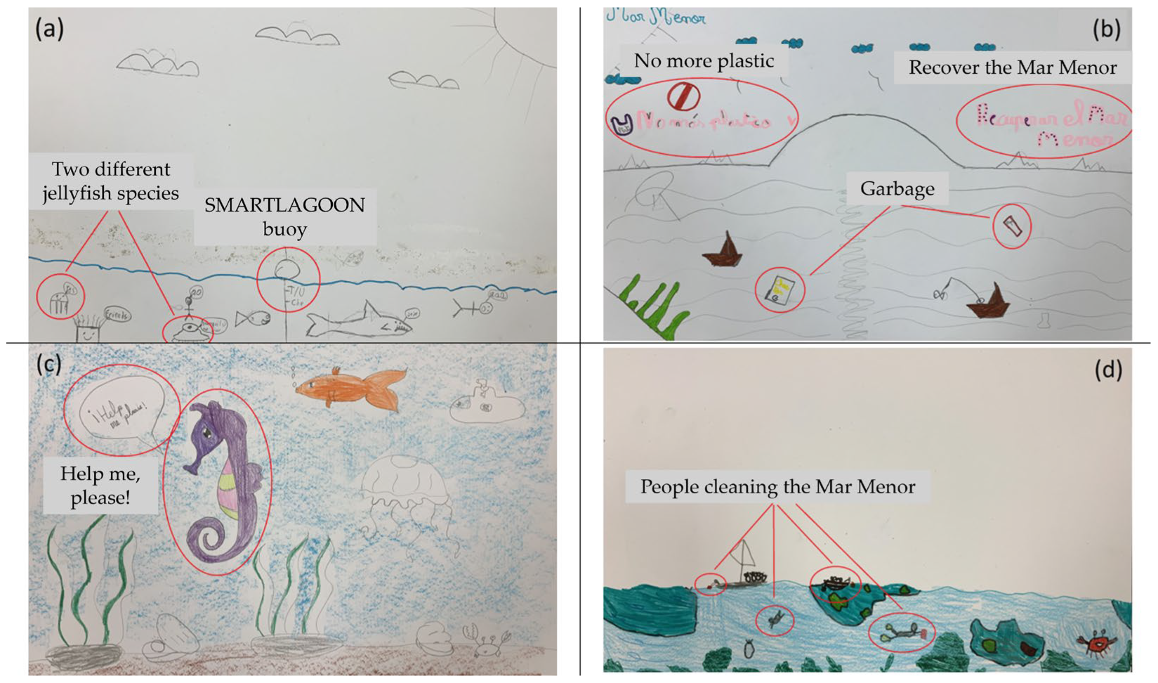 Sustainability 16 10824 g002