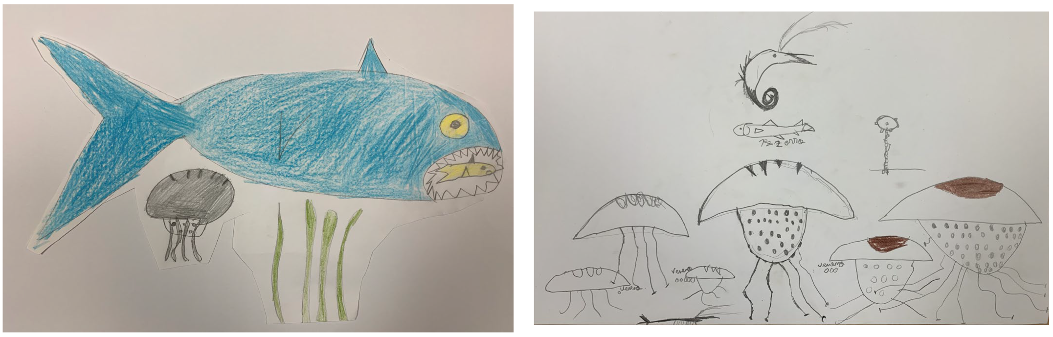 Sustainability 16 10824 g0a1a