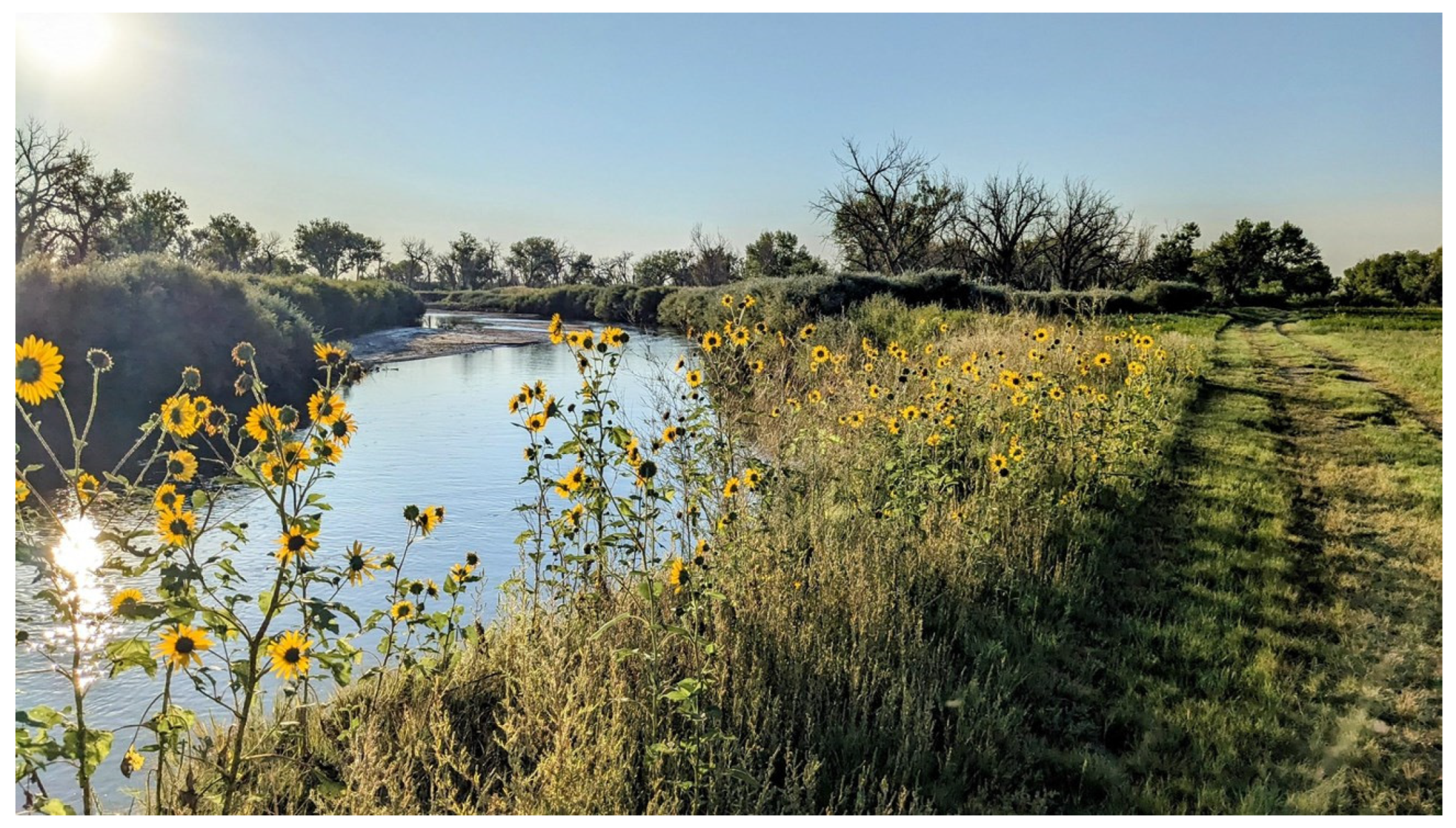 Sustainability 16 10854 g005