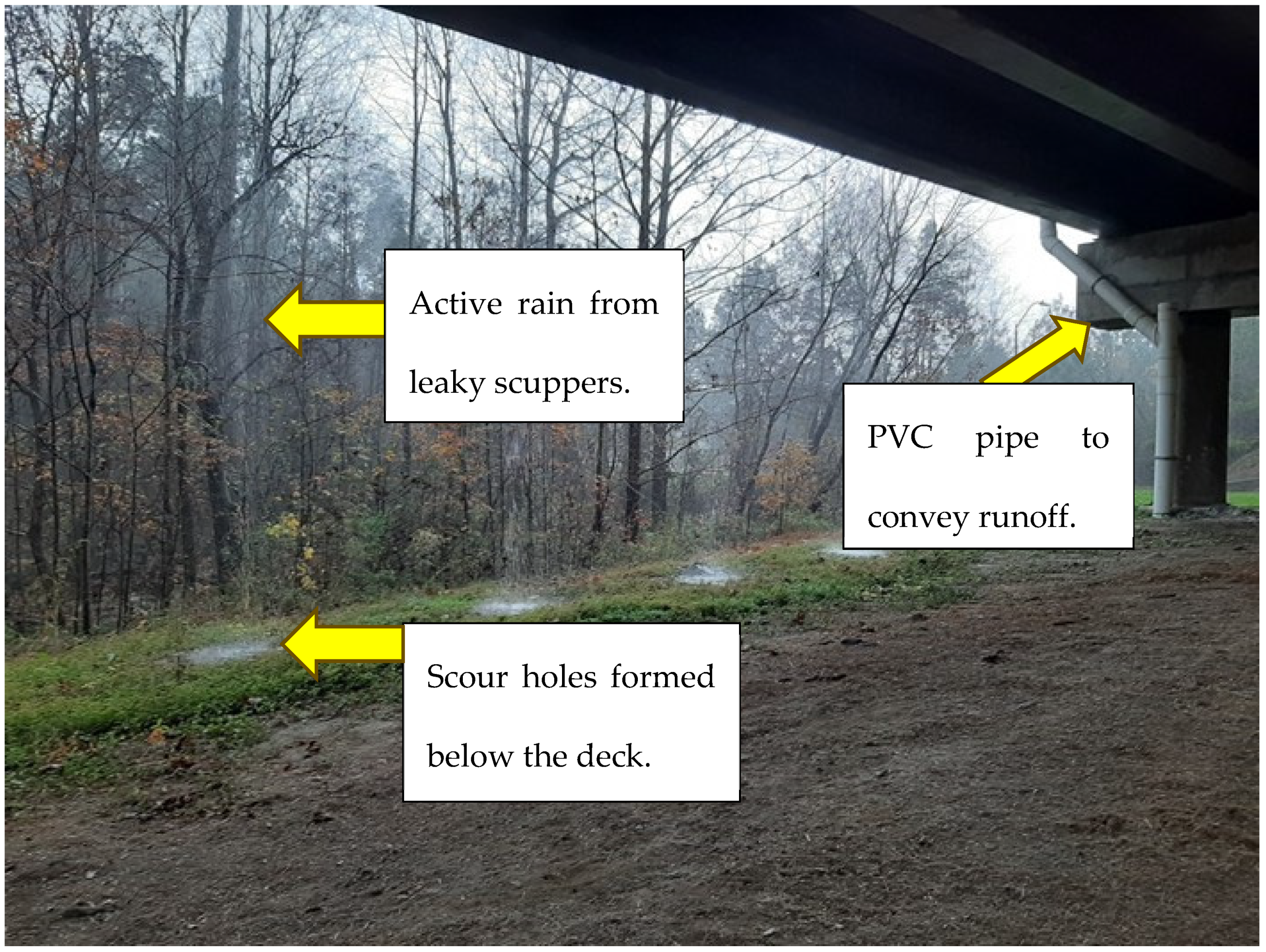 Sustainability 16 10857 g003