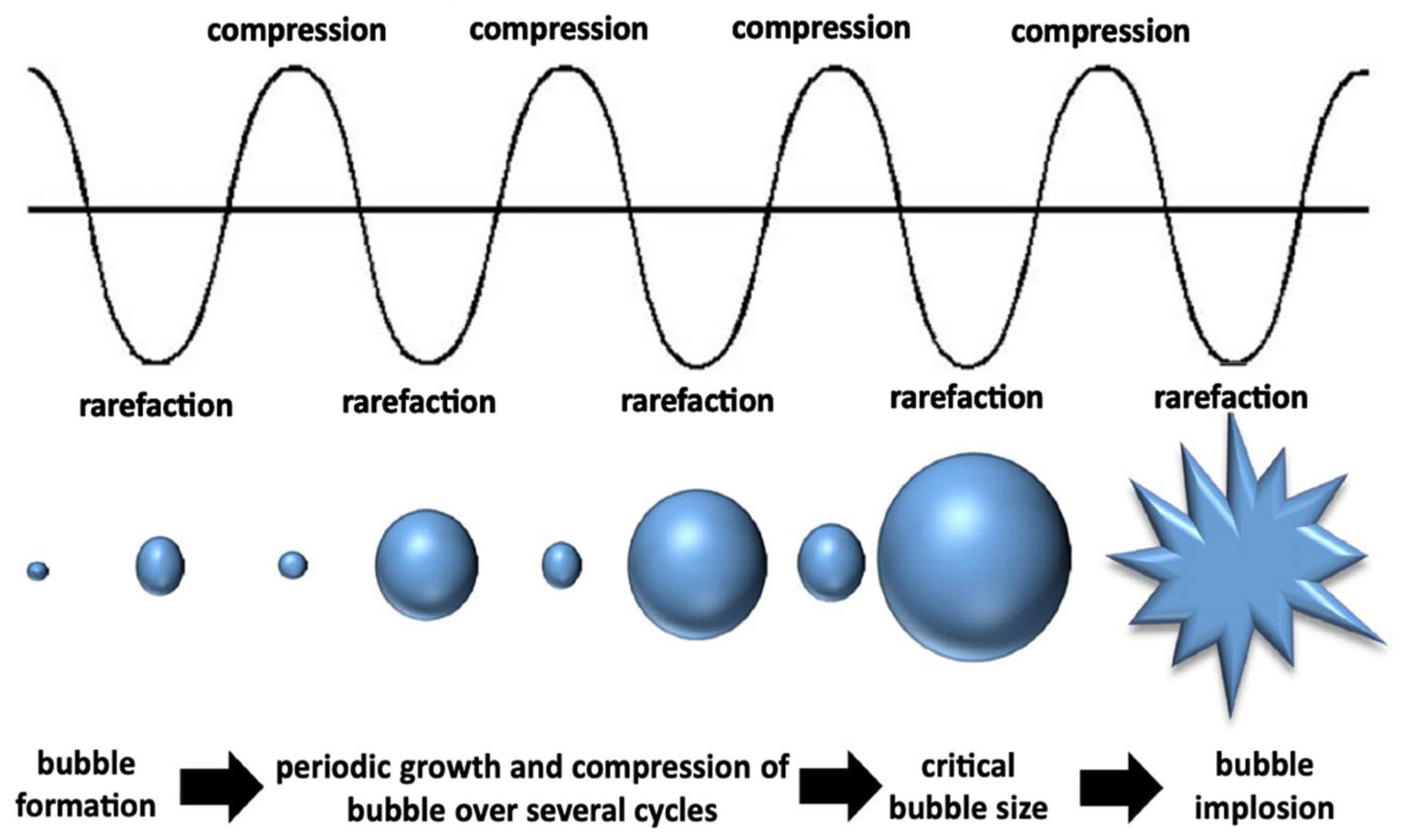 Sustainability 16 10859 g002