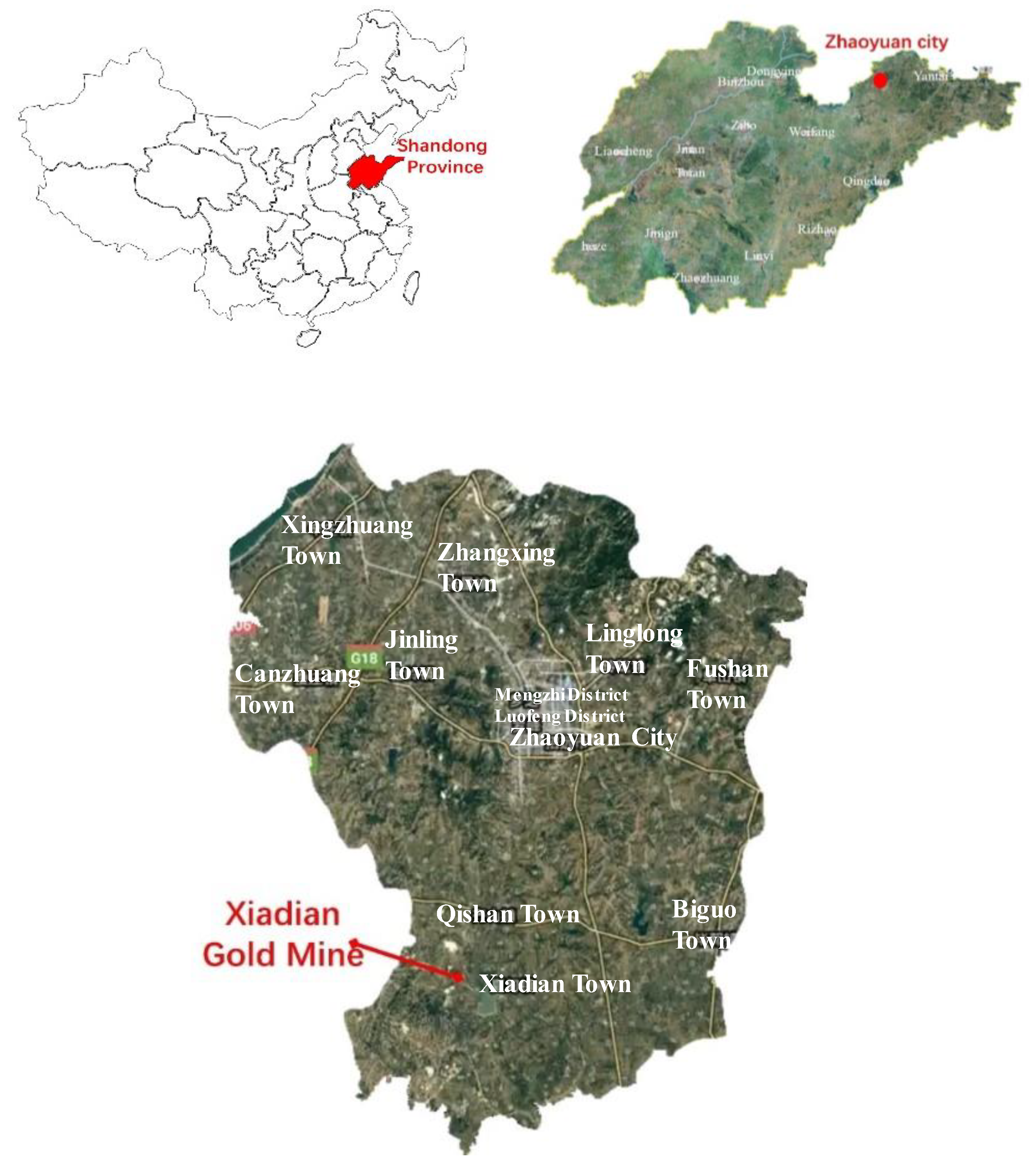 Sustainability 16 10863 g012