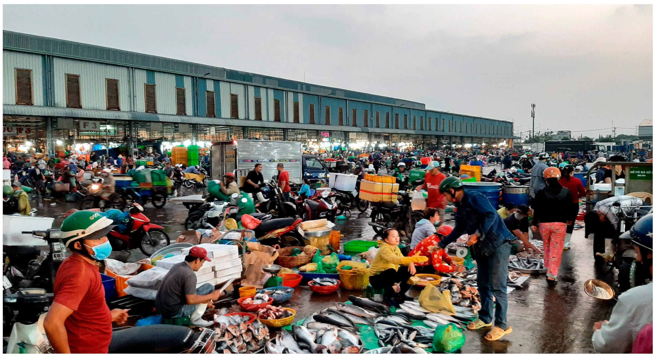 Sustainability 16 10865 g002