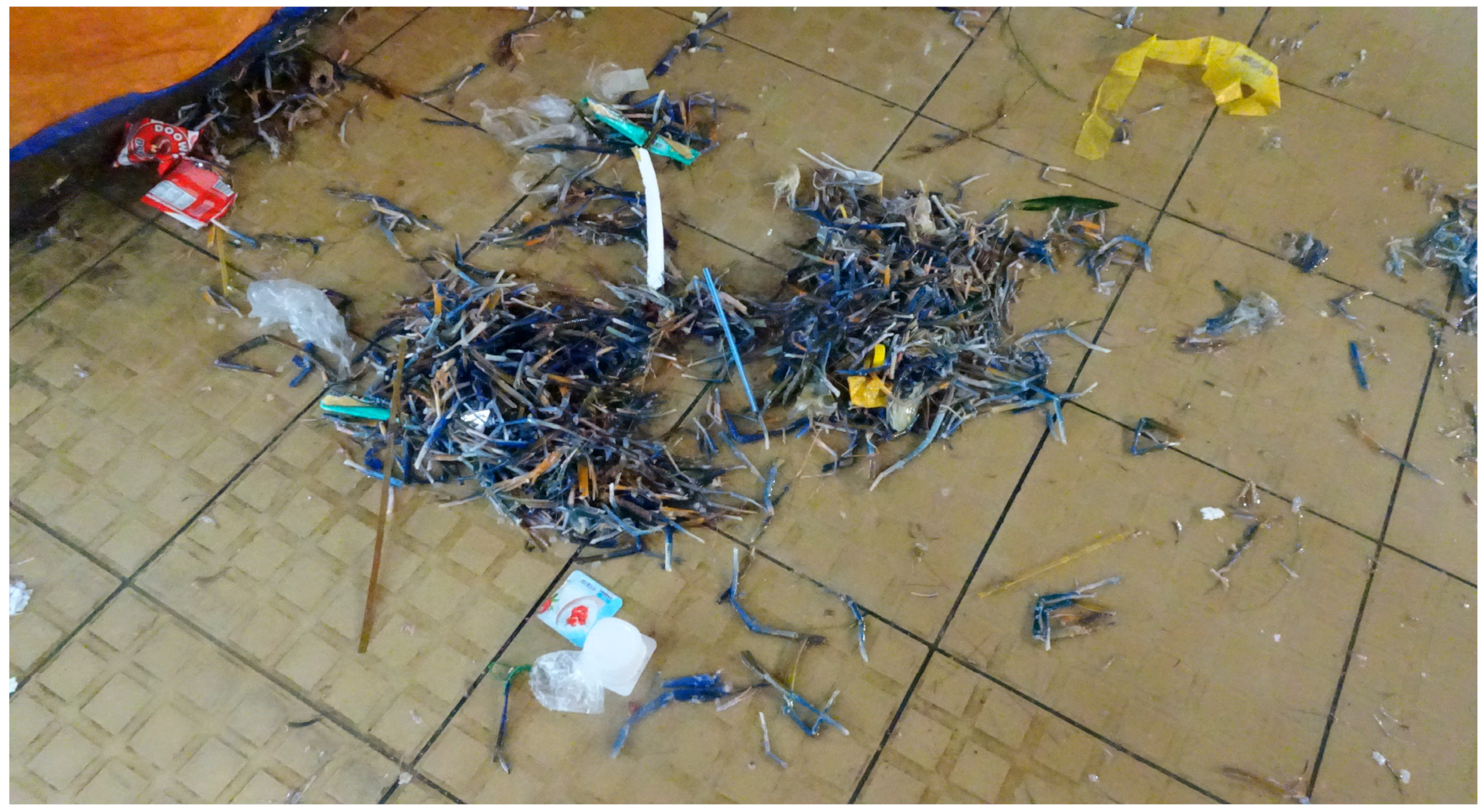 Sustainability 16 10865 g003