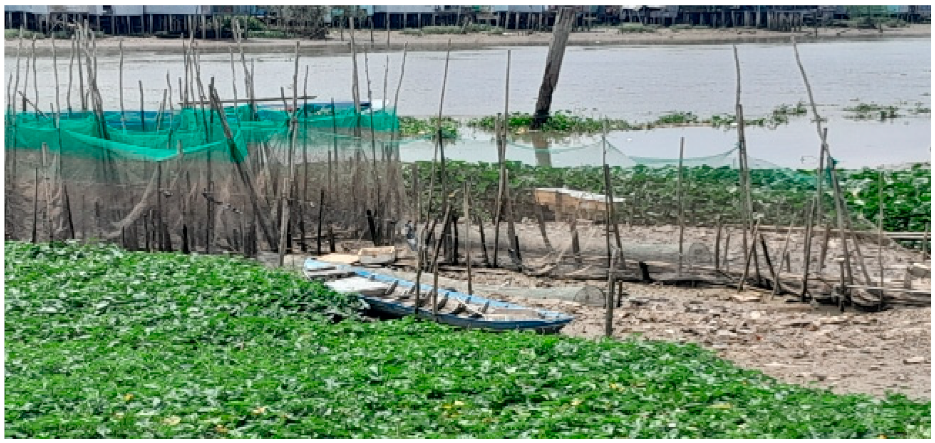 Sustainability 16 10865 g005