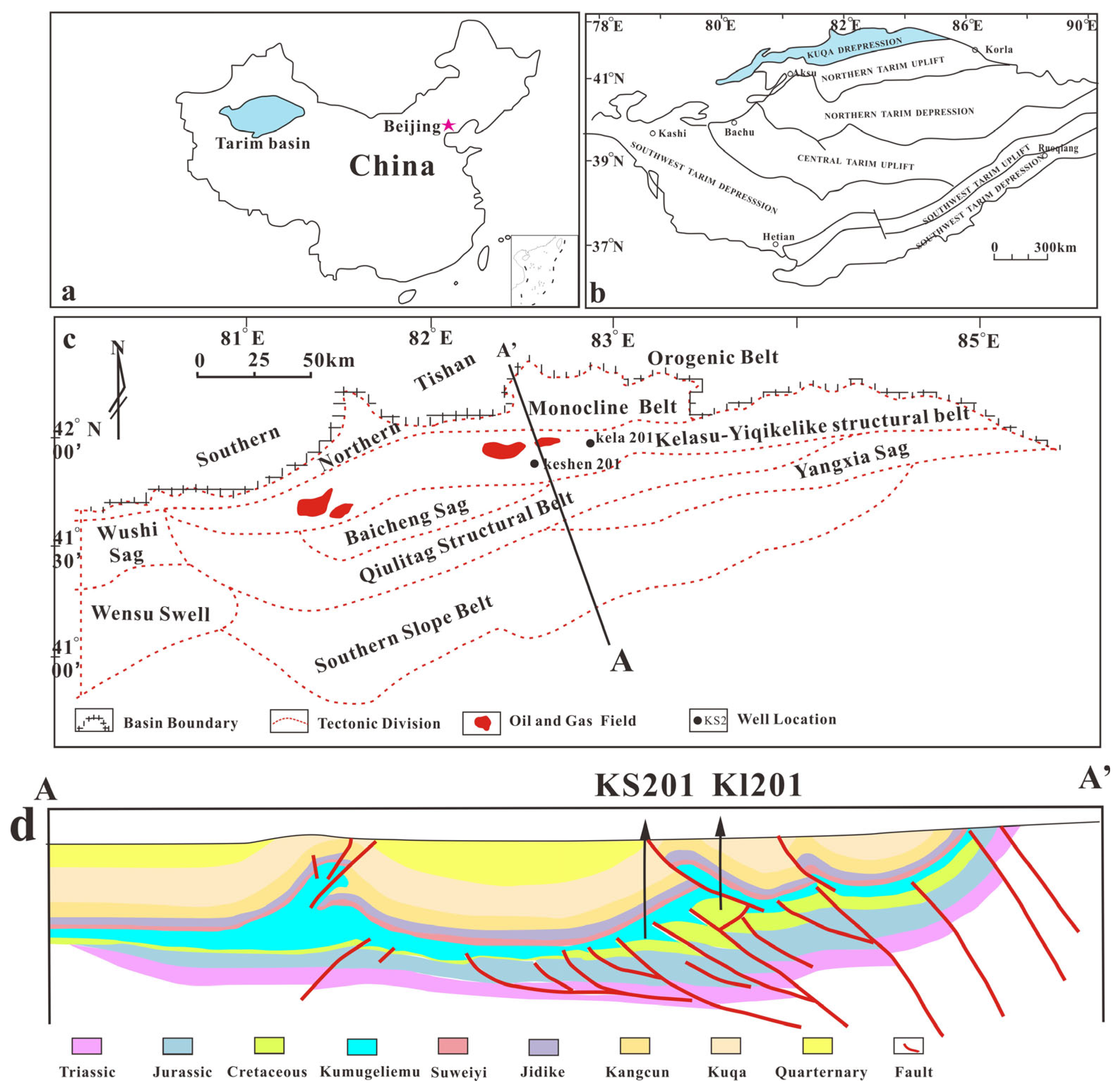 Sustainability 16 10884 g001