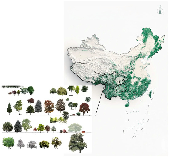 Factors Influencing Changes in Forestry Carbon Sinks Under