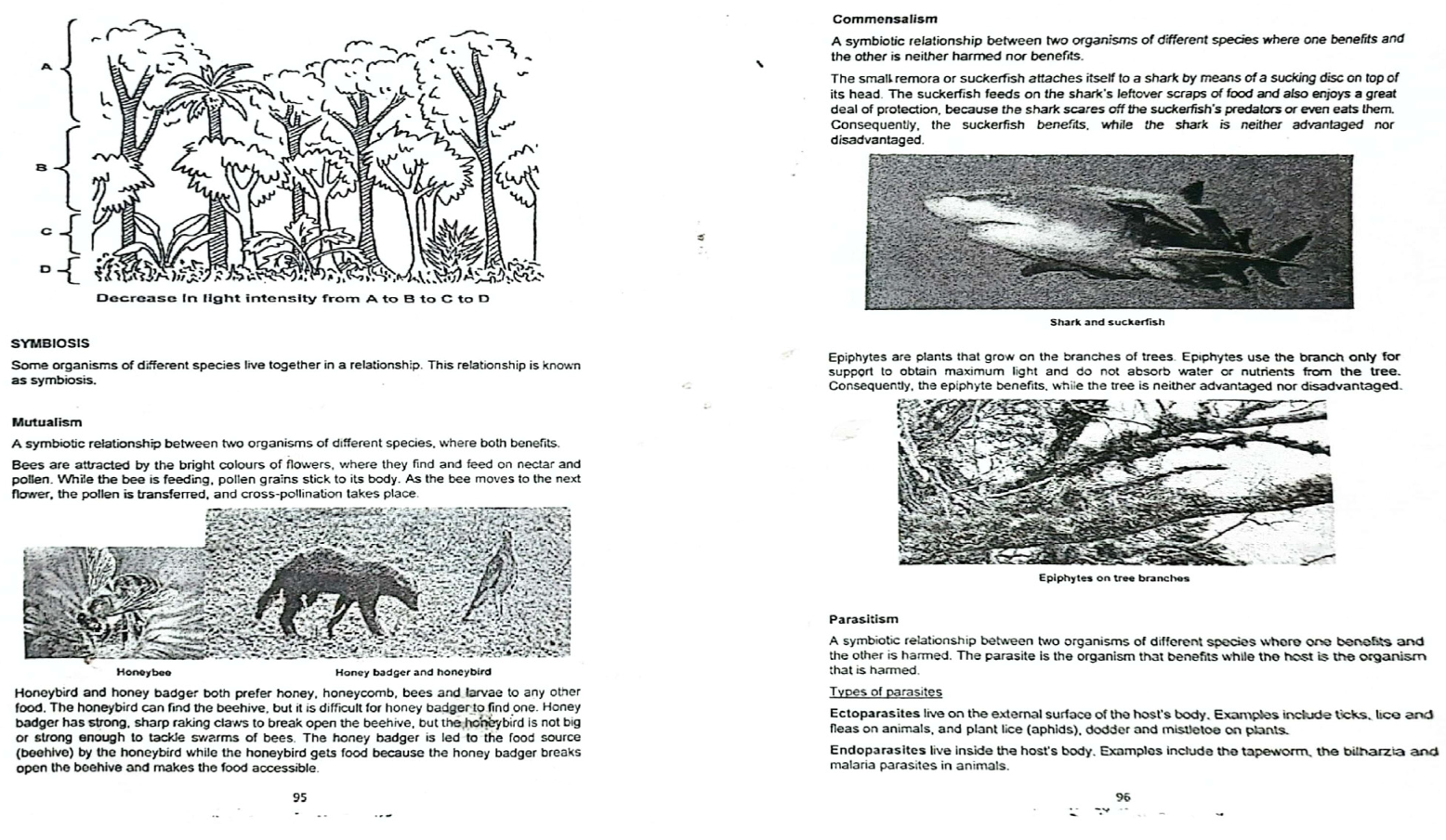 Sustainability 16 10918 g003
