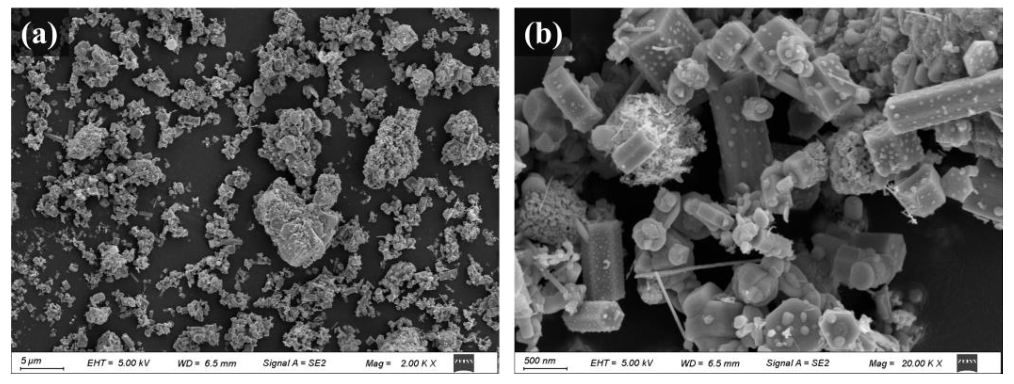 Sustainability 16 10925 g007
