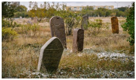 Sustainability 16 10931 i006