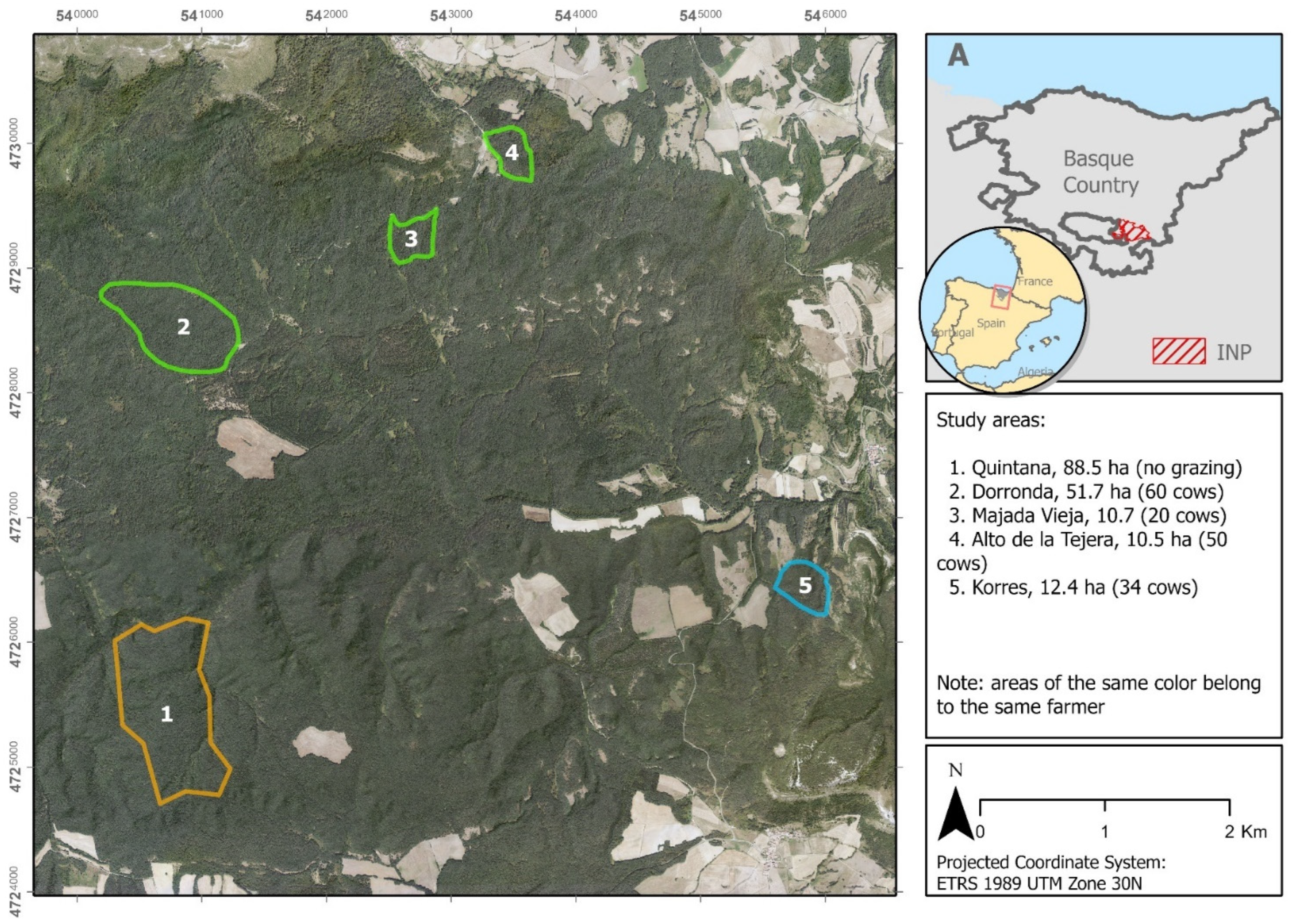 Sustainability 16 10939 g001
