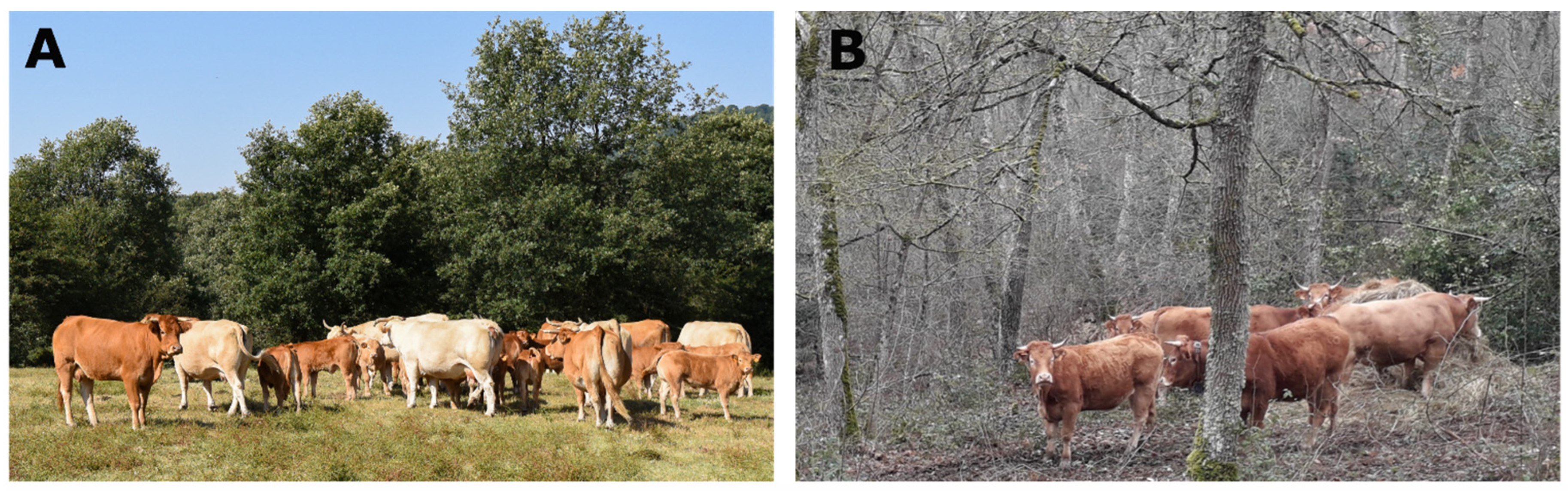 Sustainability 16 10939 g002