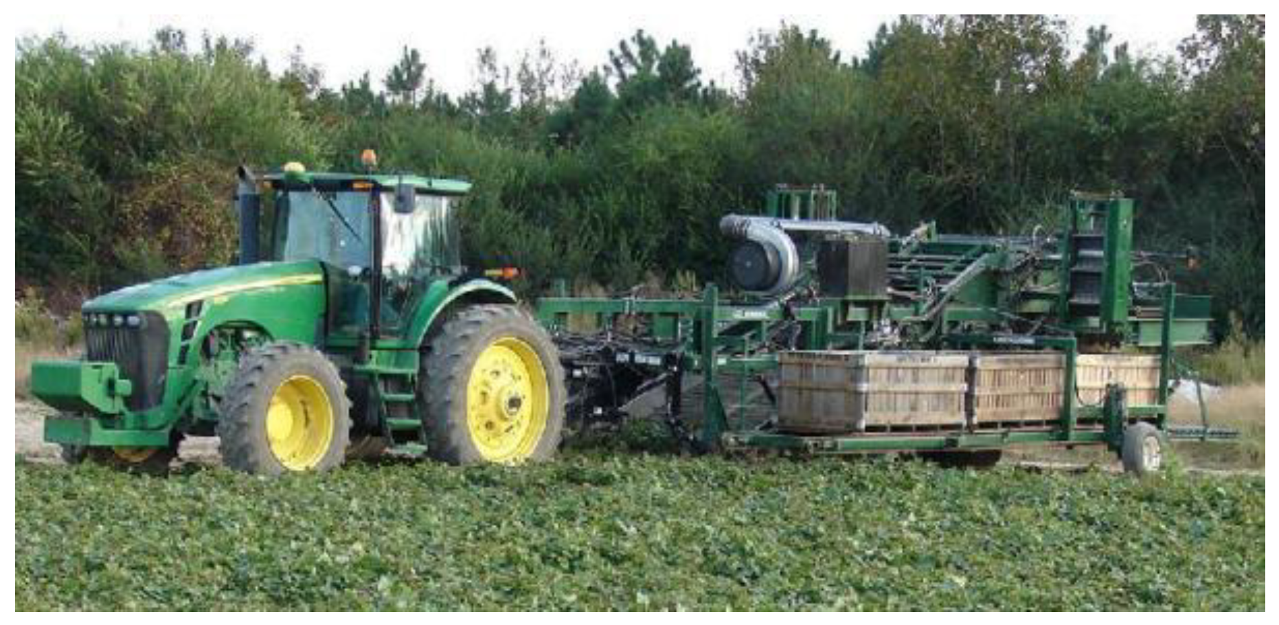 Sustainability 16 10957 g003