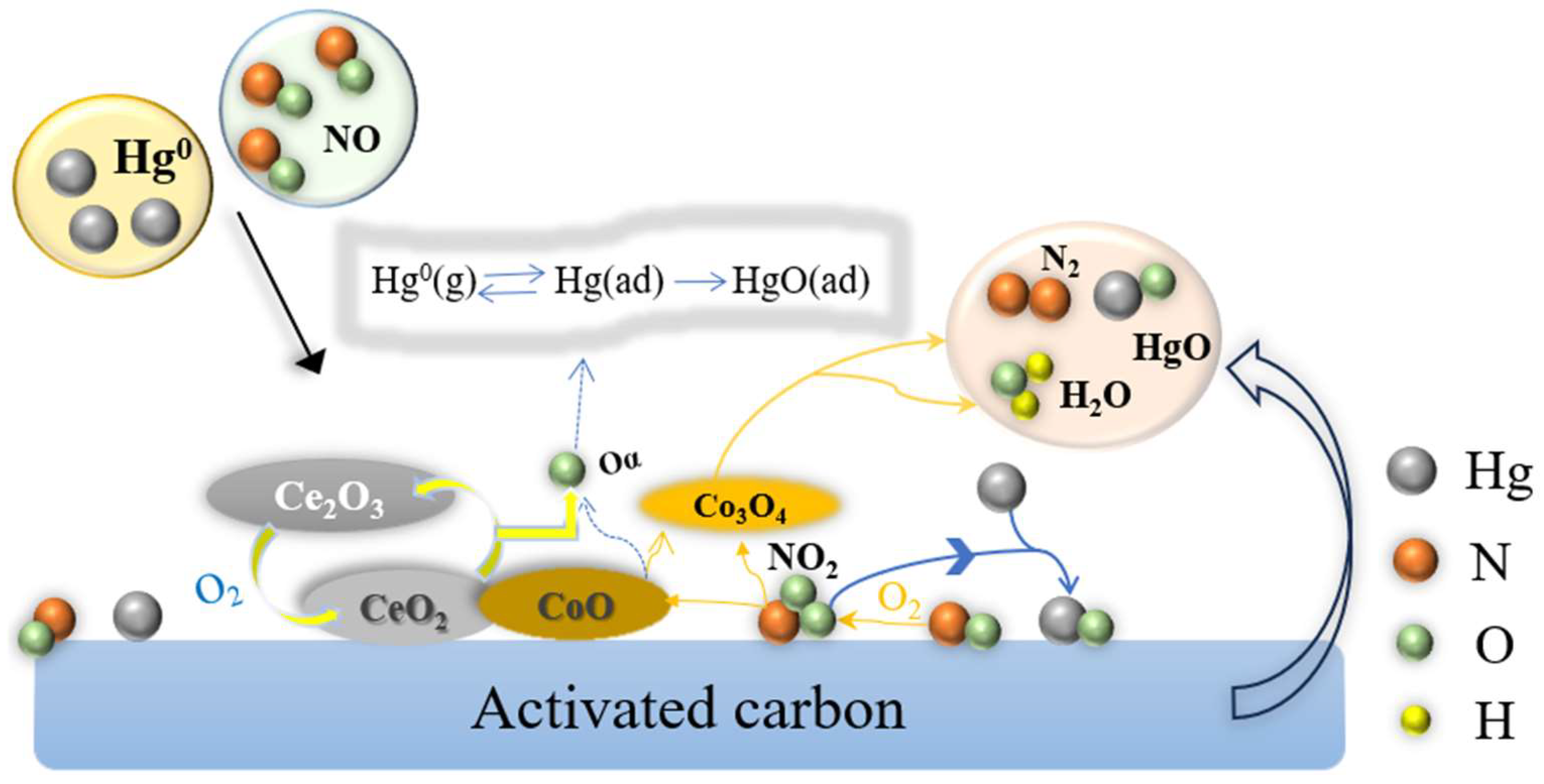 Sustainability 16 10965 g001
